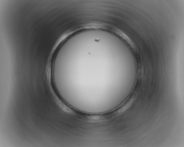 X0000115661130200911191000