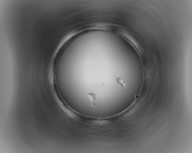 X0000115661131200911191000