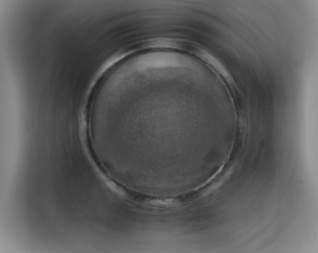 X0000115661133200911191000