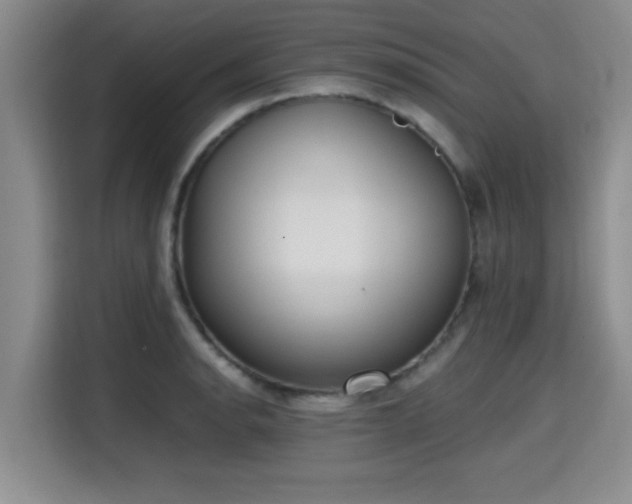 X0000115661134200911191000