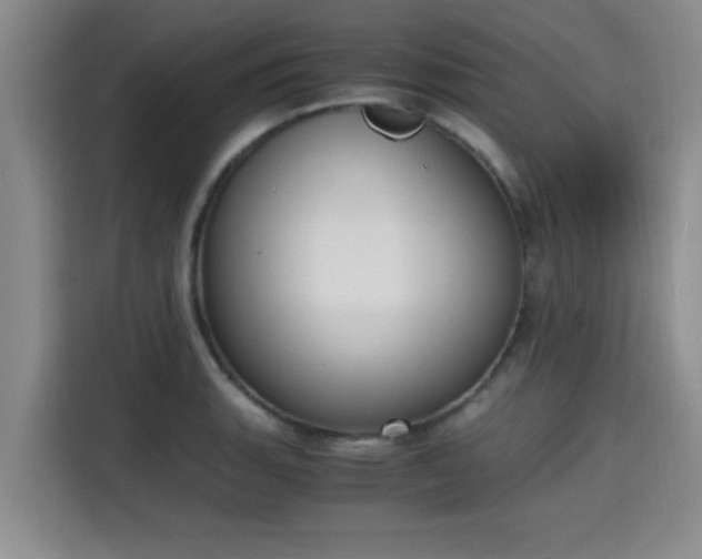 X0000115661135200911191000