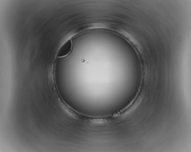X0000115661137200911191000