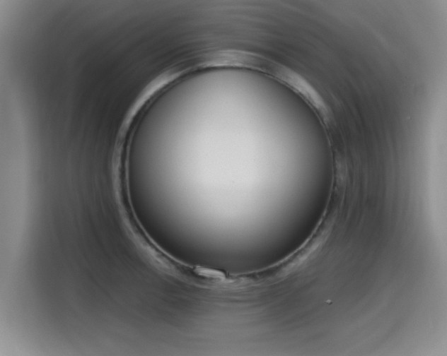 X0000115661138200911191000