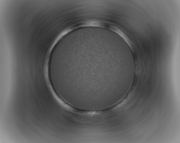 X0000115661139200911191000