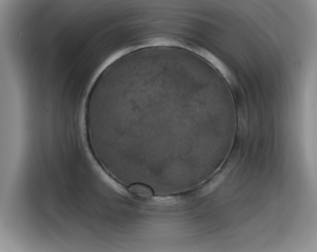X0000115661142200911191000