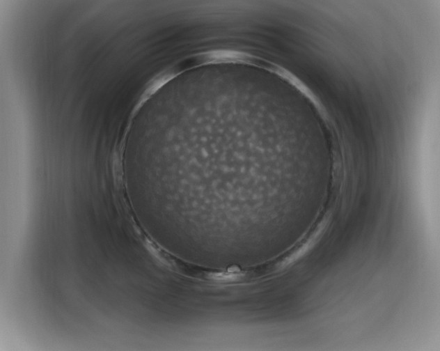 X0000115661145200911191000