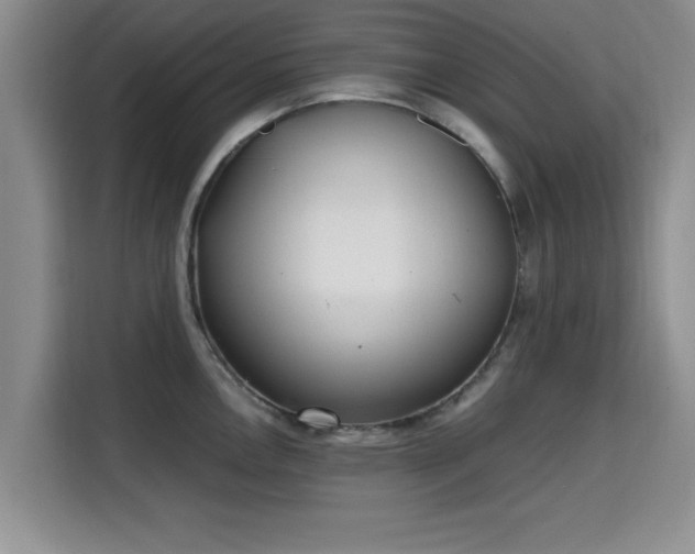 X0000115661146200911191000