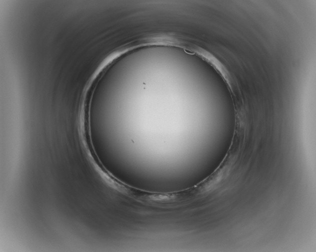 X0000115661147200911191000