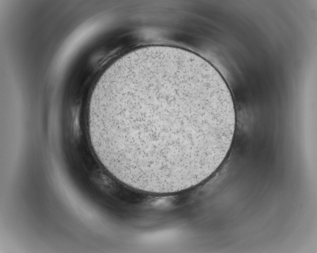 X0000115661150200911191000