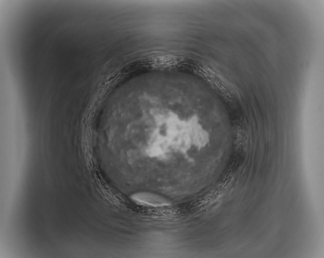 X0000115661153200911190959
