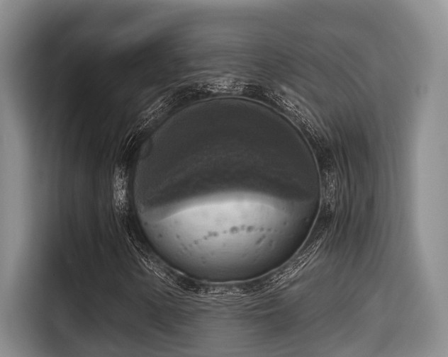 X0000115661154200911190959