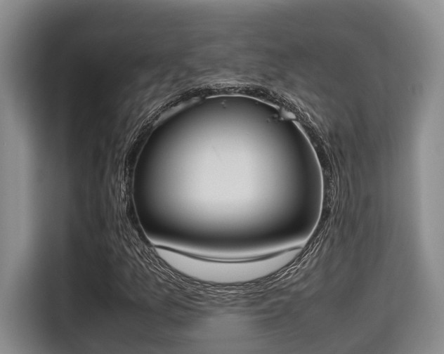 X0000115661157200911190959