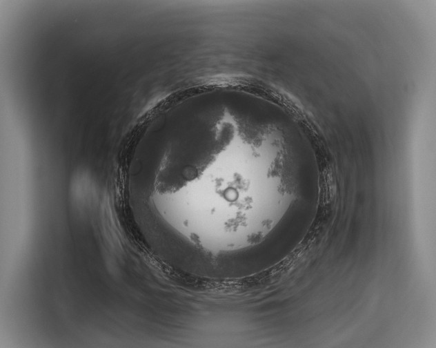 X0000115661158200911190959