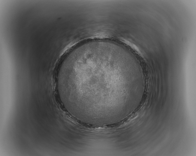 X0000115661160200911190959