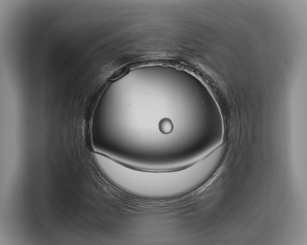 X0000115661161200911190959
