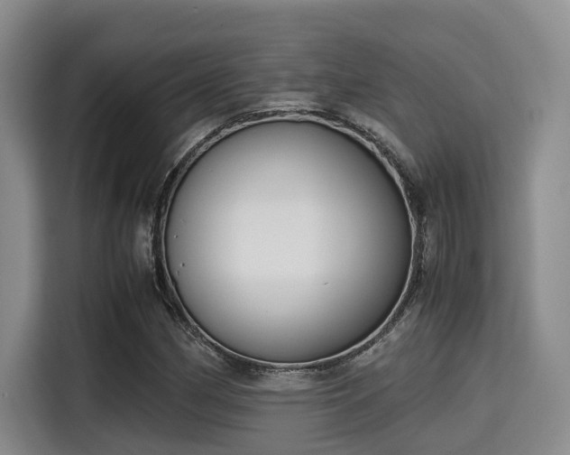 X0000115661162200911190959