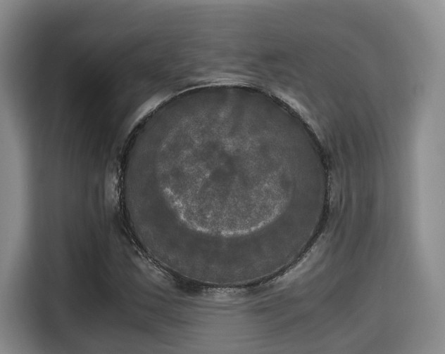 X0000115661163200911190959