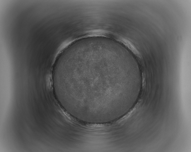 X0000115661164200911190959