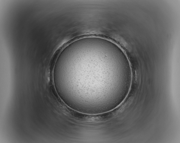 X0000115661165200911190959