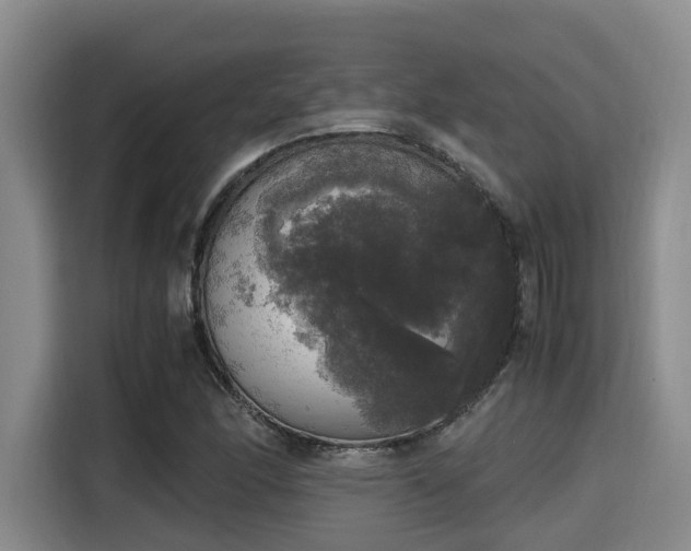 X0000115661166200911190959