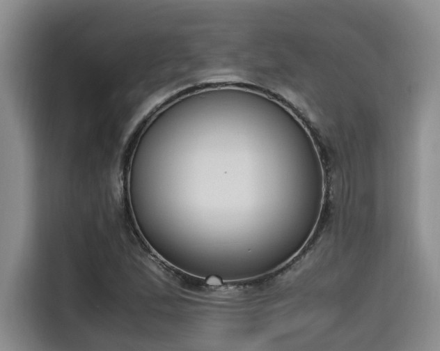 X0000115661167200911190959