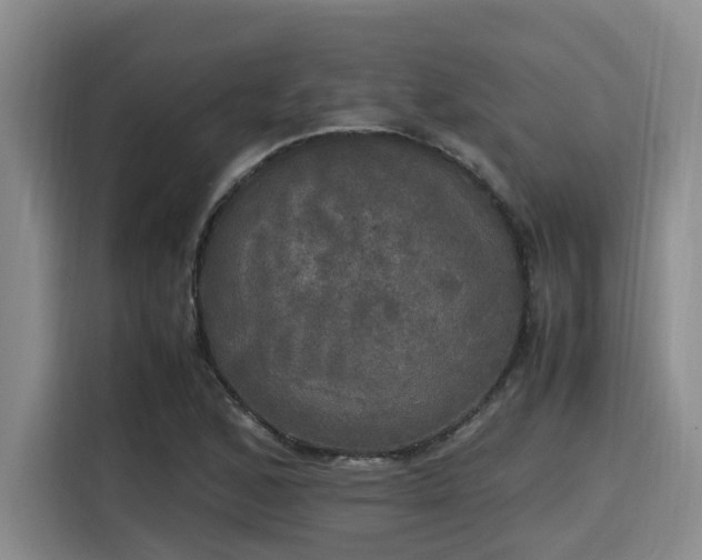 X0000115661168200911190959