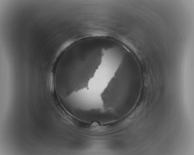 X0000115661171200911190959