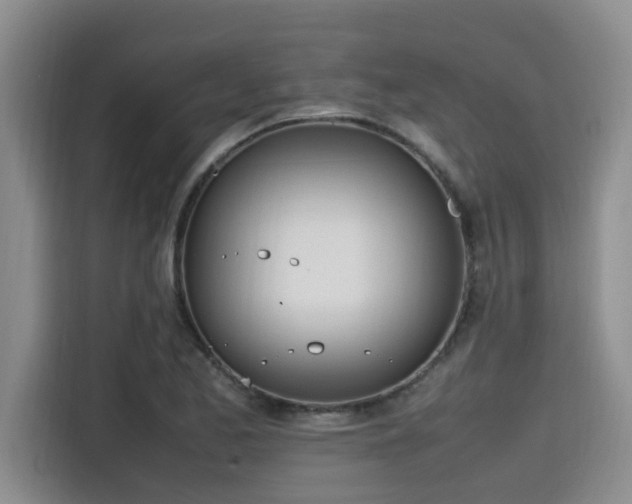 X0000115661173200911190959