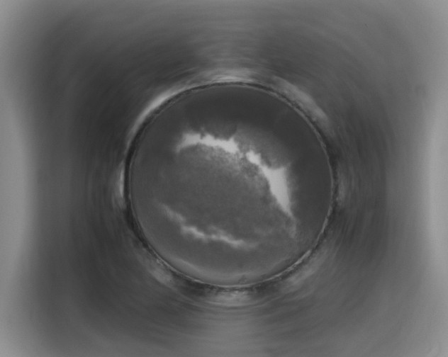 X0000115661174200911190959