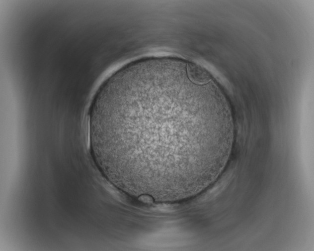 X0000115661175200911190959