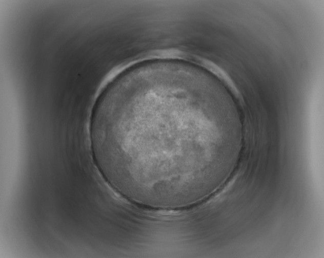 X0000115661176200911190959
