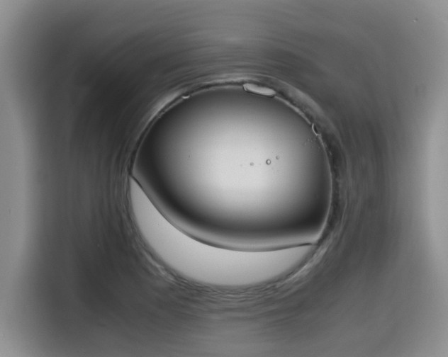 X0000115661177200911190959