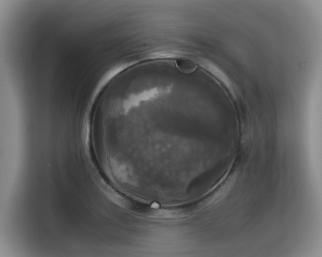 X0000115661179200911190959