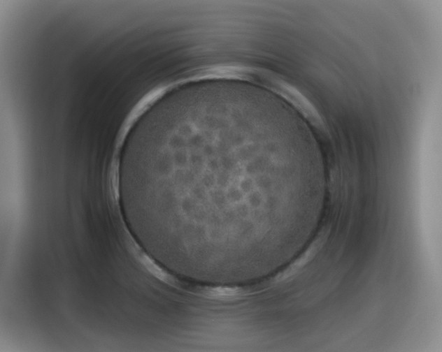 X0000115661180200911190959