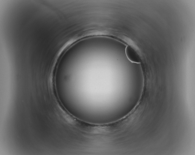 X0000115661181200911190959