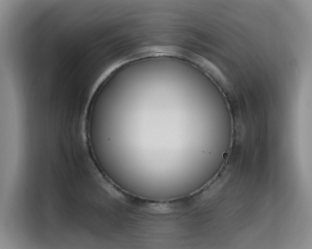 X0000115661182200911190959