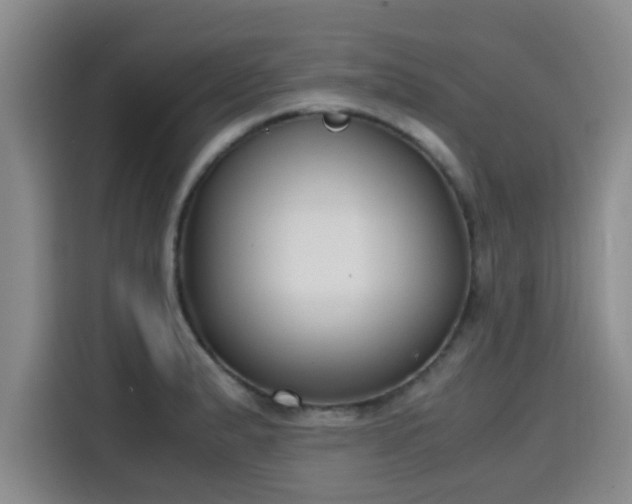X0000115661183200911190959