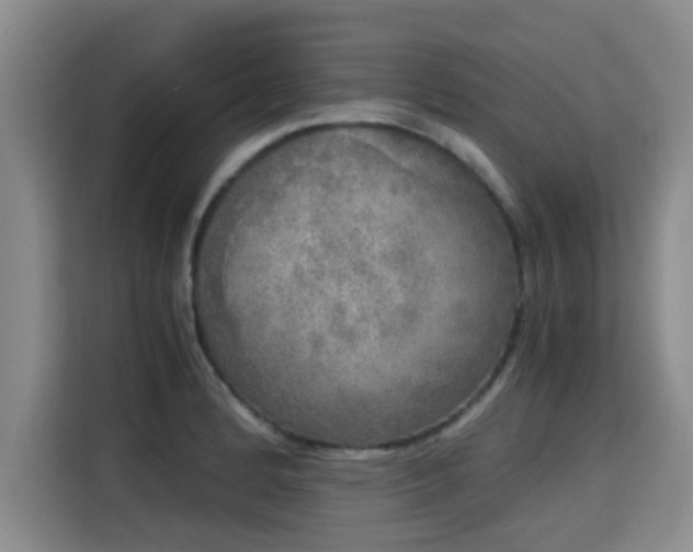 X0000115661184200911190959