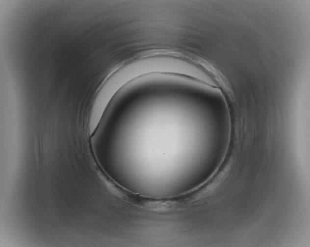 X0000115661185200911190959