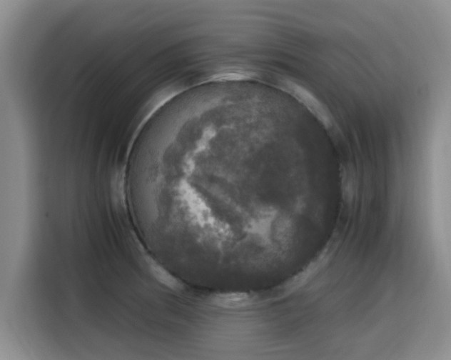 X0000115661186200911190959