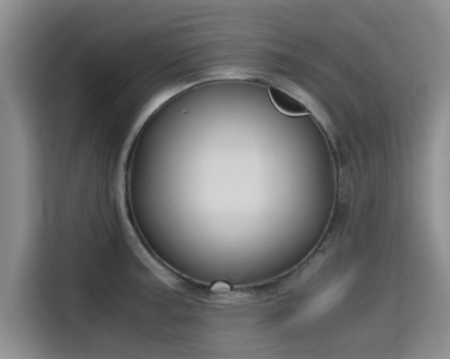X0000115661187200911190959