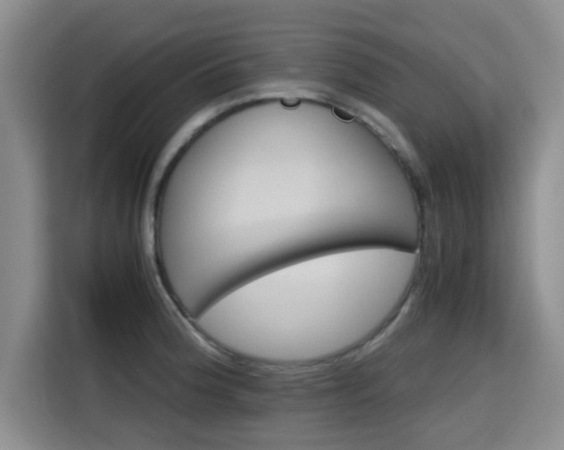 X0000115661188200911190959