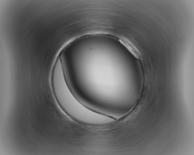 X0000115661189200911190959