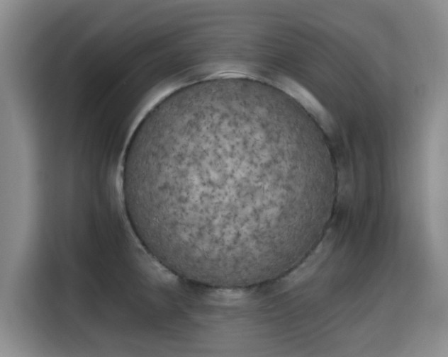X0000115661190200911190959