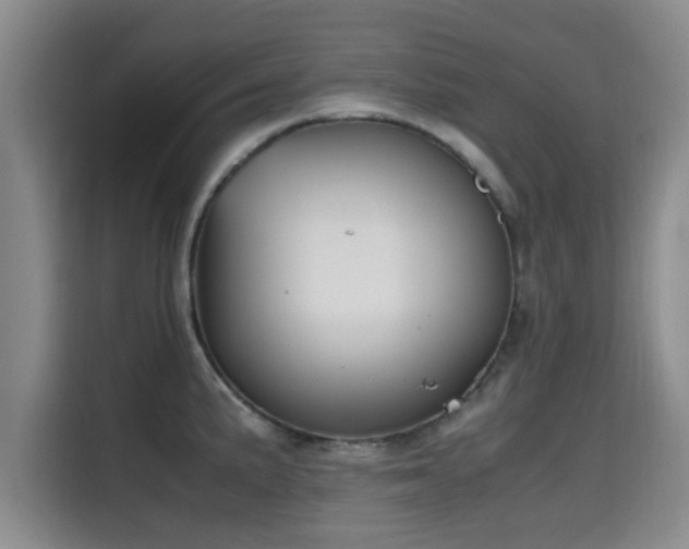 X0000115661191200911190959