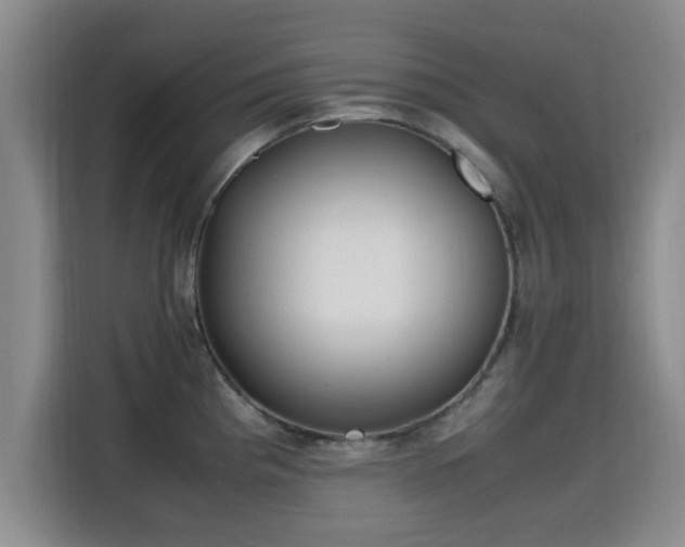 X0000115661193200911190959