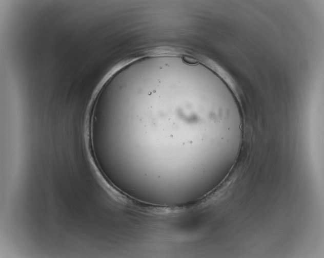 X0000115661195200911190959