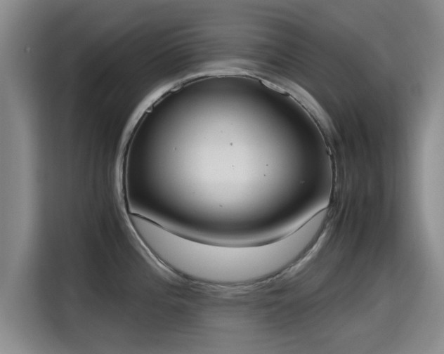 X0000115661196200911190959
