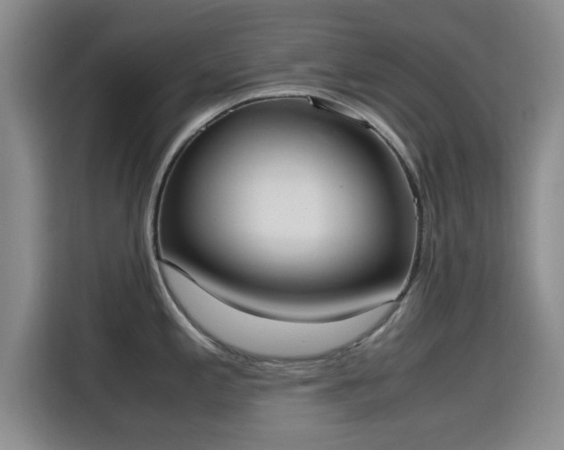 X0000115661197200911190959