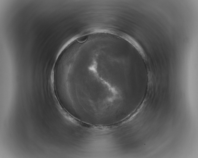 X0000115661198200911190959